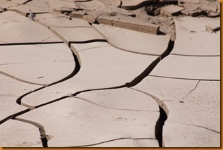 IMG_1736