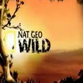 NatGeo Wild Germany - Astra Frequency