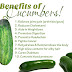 10 Health Benefits of Cucumber