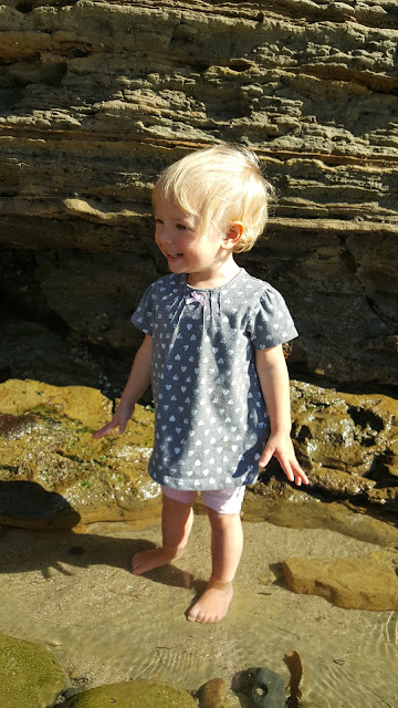 point-loma-tide-pools