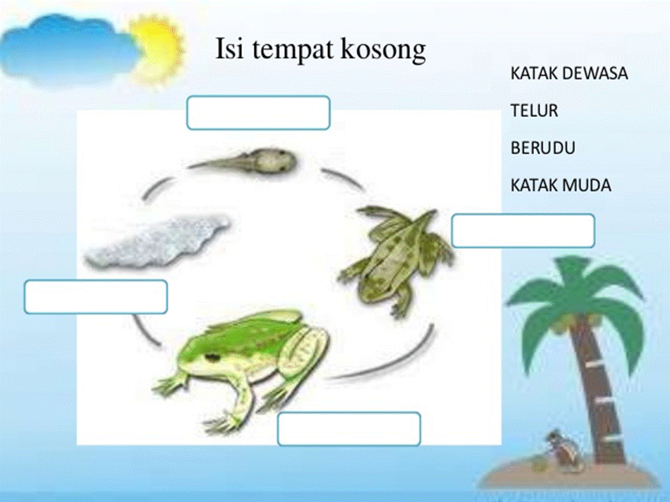 Dunia Sains dan Teknologi (Belajar dengan Ceria): DST 