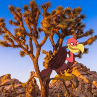 G2R Desert Joshua Tree Es…