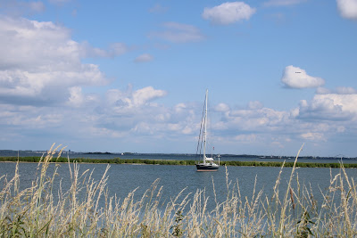 Kinselmeer