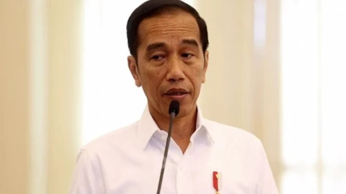 Pernyataan Jokowi Soal Bipang Diacungi Jempol oleh Tokoh Ini.