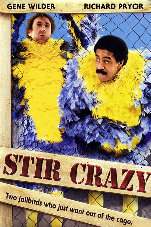Watch Stir Crazy 1980 Full Movie With English Subtitles