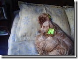 clip_image003