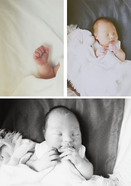 baby newborn photography melbourne