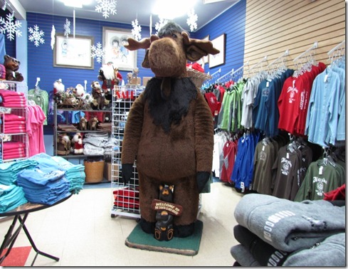 Fairbanks, Day 1 065 (800x600)