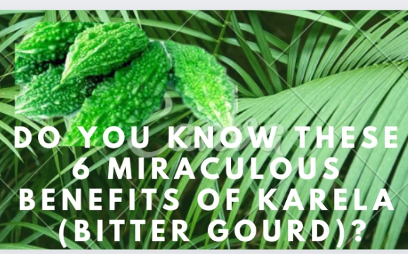 Do You Know These  6 Miraculous   Benefits of Karela   (Bitter Gourd).