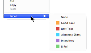 Assigning Coloured Labels to Footage or Bin can be very useful to priorities items :  Assigning coloured Labels to your stocked Footages inside or Bin can be very useful to quickly check out priority rushes inside the window.