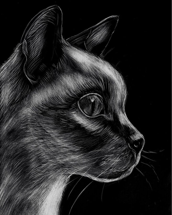 01-Cat-Scratchboard-Drawings-Christopher-Cruz-www-designstack-co