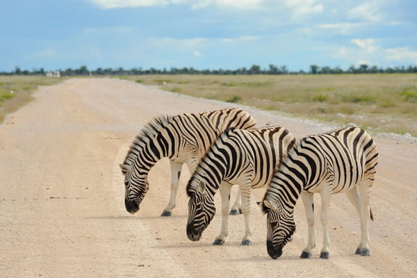 Etosha Village Namibia