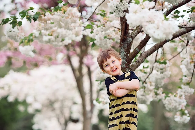 A boy standing in front of a tree with pinky white cherry tree blossoms taken by Two Hearts One Roof