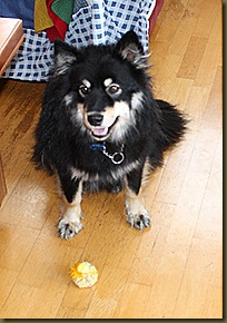 påske 002