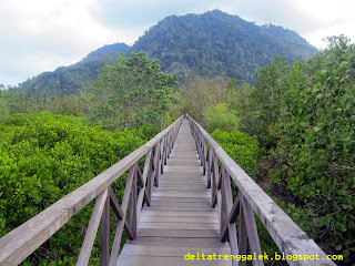 hutan bakau cengkrong trenggalek