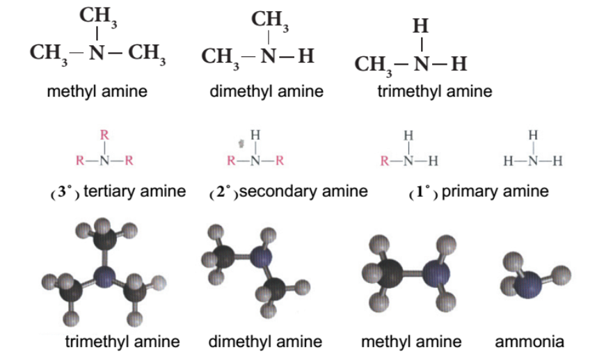 Amines: Preparation - Nomenclature - Properties