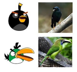 Angry Birds in Real Life 02 Ketika angry birds Di dunia nyata