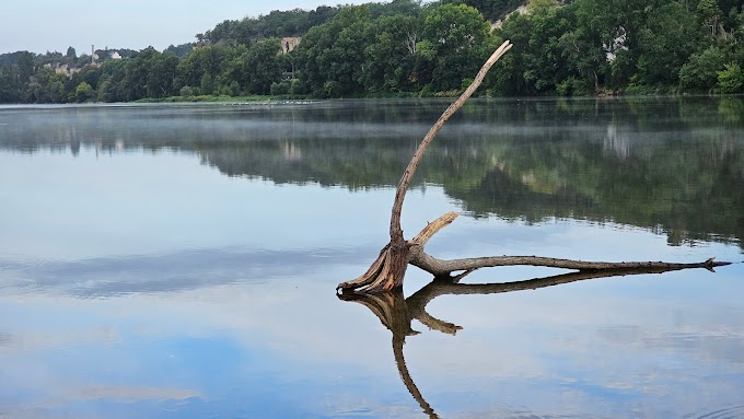 Balade photos numériques en bord de Loire à Tours