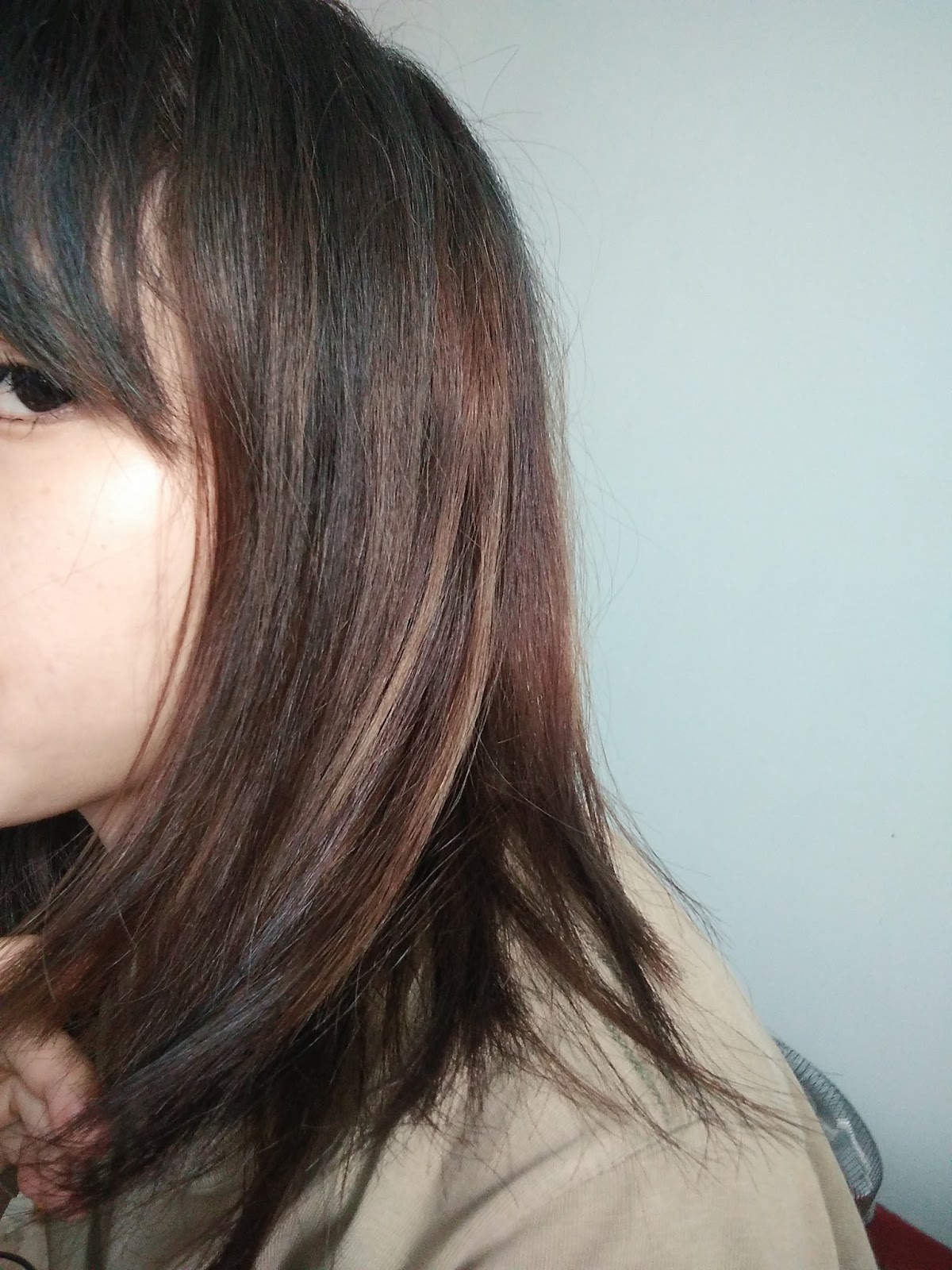 VICKY STORY REVIEW NYU CREME HAIR COLOUR