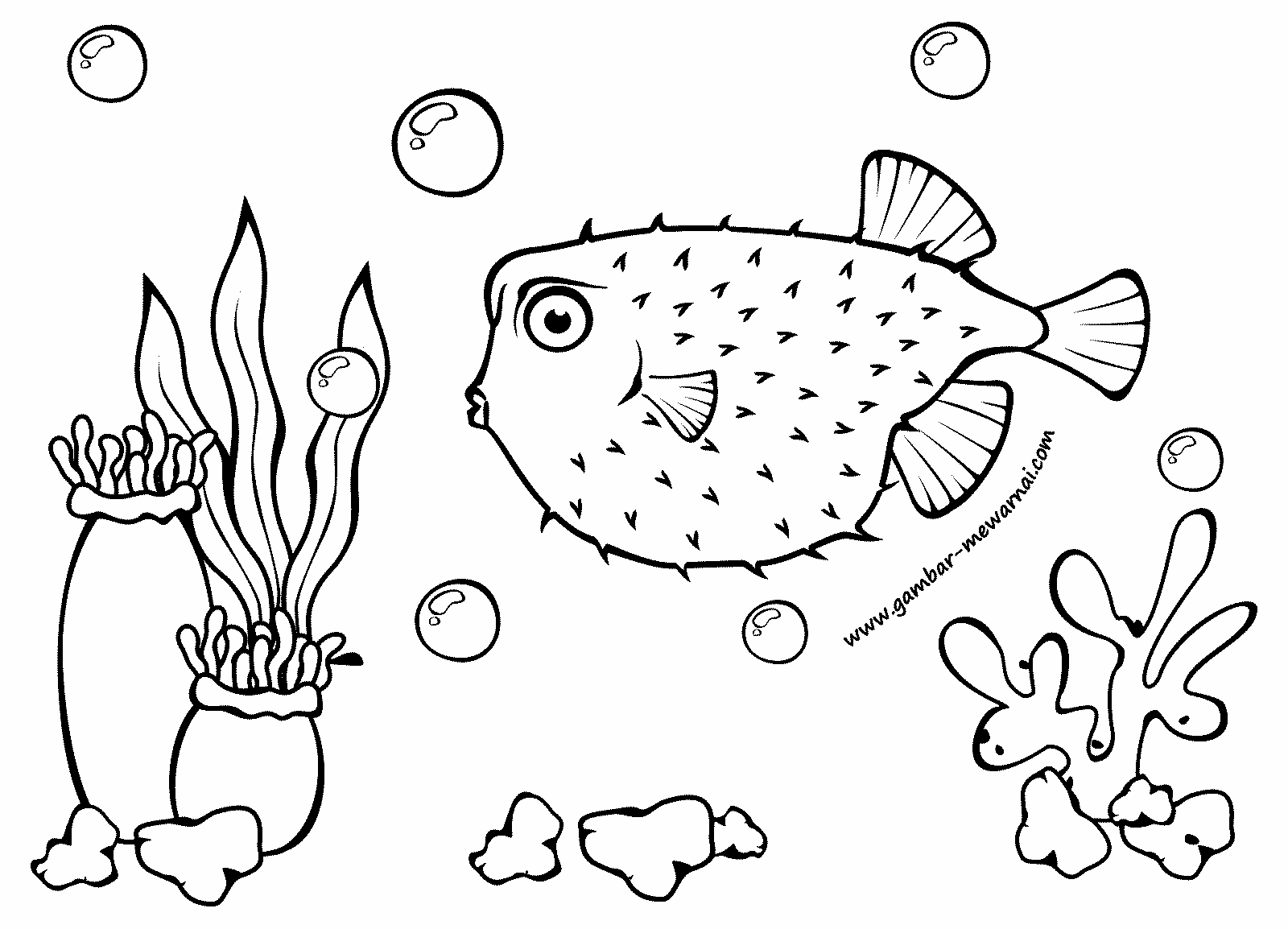 Top Gambar Kartun Hitam Putih Ikan Kolek Gambar