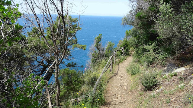 Costa degli Etruschi May 2021 - Baratti