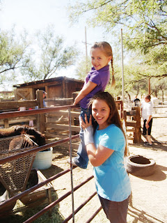 Petting zoo