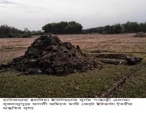 পরিবেশ- ধানখেতে অট্টালিকা by মোহাম্মাদ মুনীর চৌধুরী