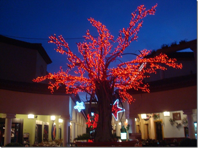 DSC01658