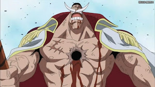 ワンピースアニメ 頂上戦争編 481話 白ひげ Edward Newgate | ONE PIECE Episode 481