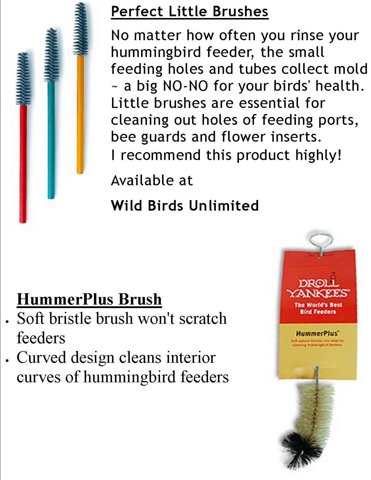 hummingbirds solution sugar away hummingbird from Wild feeders mold Birds Keep Unlimited: hummingbirds solution sugar away hummingbird from Wild feeders mold Birds Keep Unlimited: