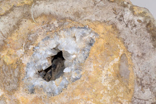 quartz formation in fossil from Costa Rica