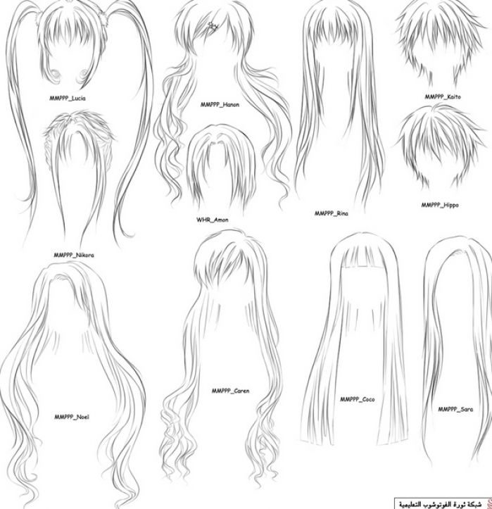 Anime Manga World How To Draw An Anime Head Part Only