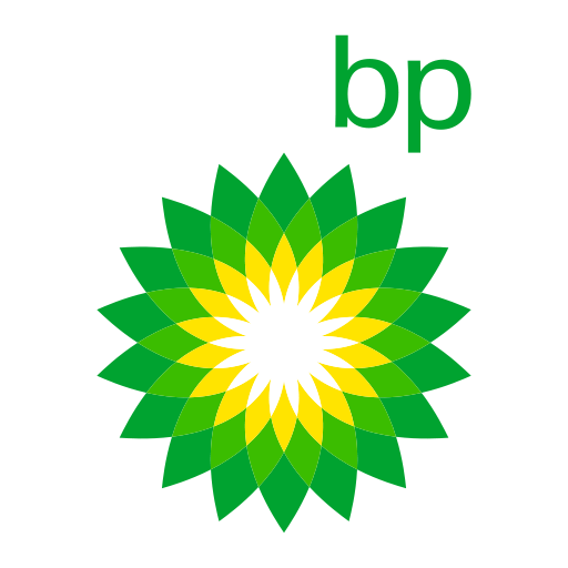 BP 2011