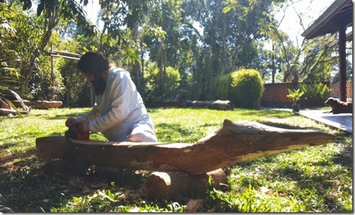 mp tamandua 1
