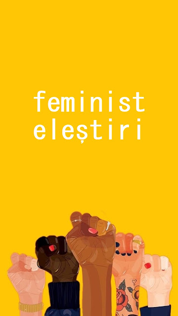 feminist eleştiri