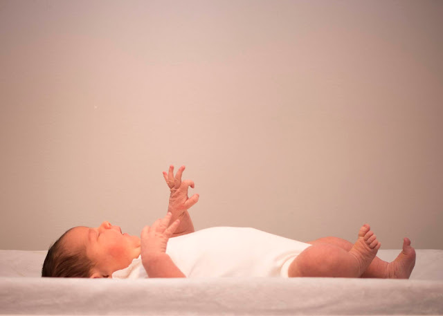 Elmhurst newborn photography