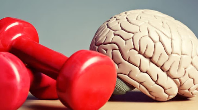 Studying Observed by Physical Exercise Boosts Memory
