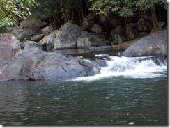 Crystal Cascades, near Cairns, Qld (57)