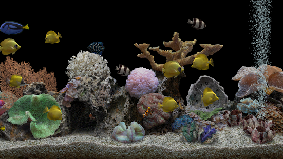 MARINE AQUARIUM