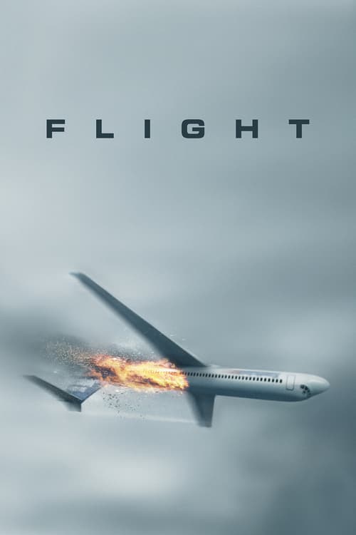 [HD] El vuelo (Flight) 2012 Pelicula Completa En Español Castellano