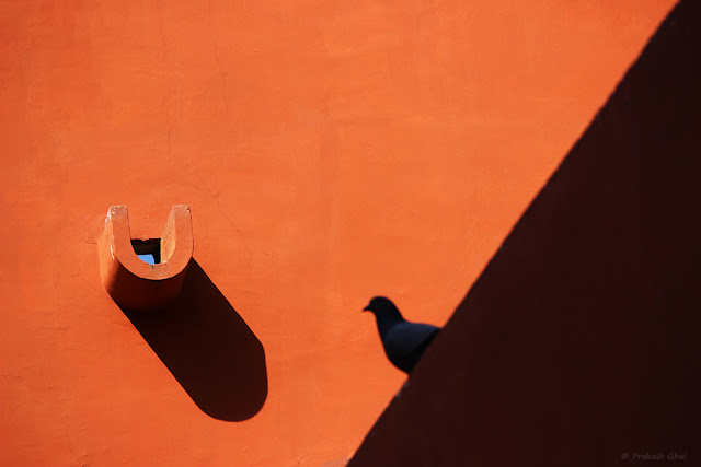 A Simple Minimalist Photograph of a Pigeon Sitting on a Red / Orange wall versus the Long Shadow of a Water Outlet, shot at Jawahar Kala Kendra, Jaipur.