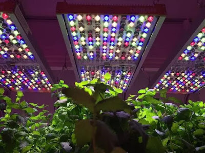 LED grow lighting system