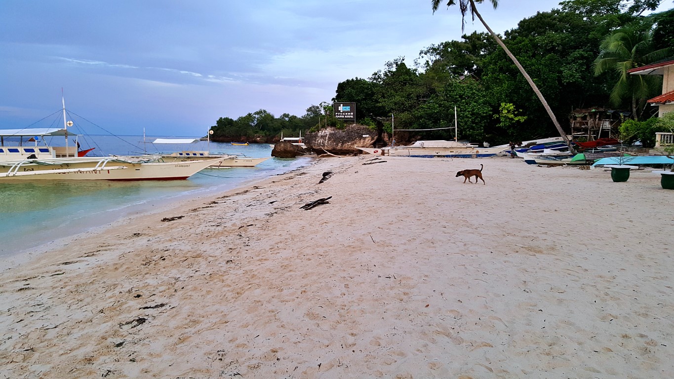 calm and serene early morning view of Alona Beach, Panglao, Bohol