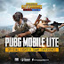 Start Pre-Registration for PUBG Lite in India, Learn Full Process & Offers