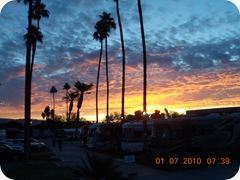 DSCN2248
