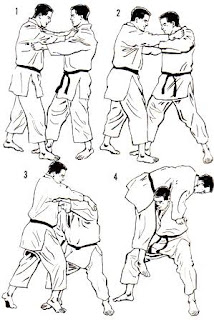 techniques judo