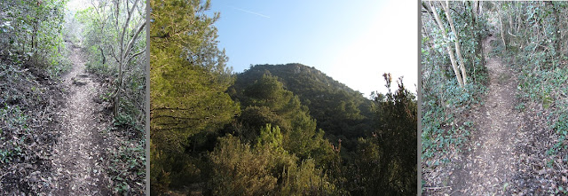 Serra del Montmell, corriol i Atalaia del Montmell