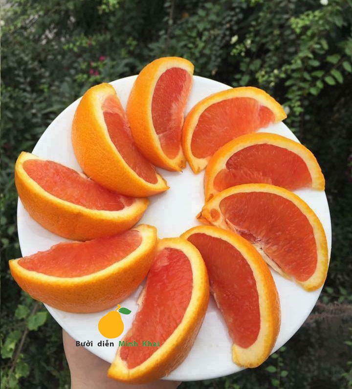 Cam Cara có chứa hàm lượng Lycopen và Carotenoid cao