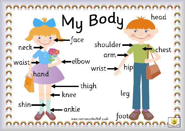  body words genmagic