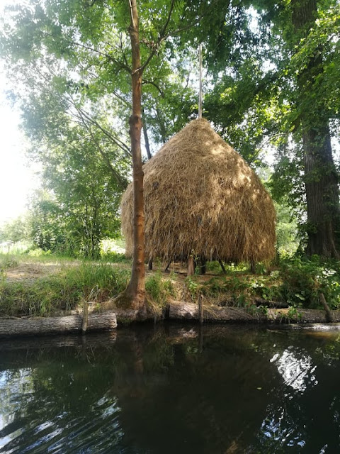 Spreewald - Brandenburgia jak z obrazka.